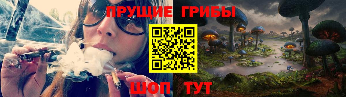 Галлюциногенные грибы MAGIC MUSHROOMS  Вход с VPN  Ртищево 